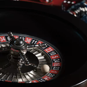 너구리벳 추천인 안내: 놓치면 손해인 특별 혜택 총정리